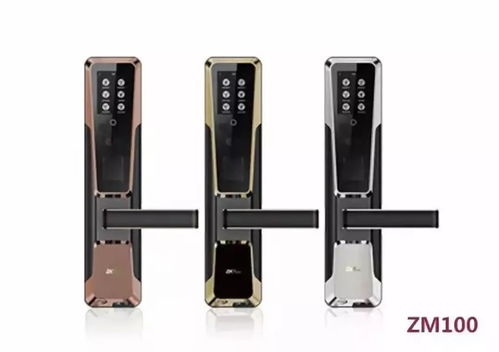 生物識別技術(shù)主要應(yīng)用在哪些領(lǐng)域